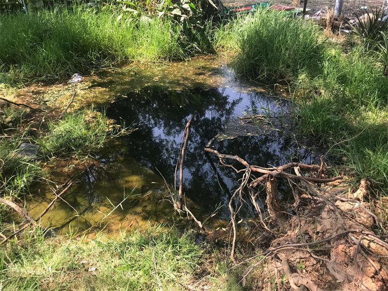 Despite five years of logs and emails, Johannesburg Water has still not repaired the five-year-old water leak inside the Kruispad-kerk grounds on Elise Road and Malibongwe Drive.