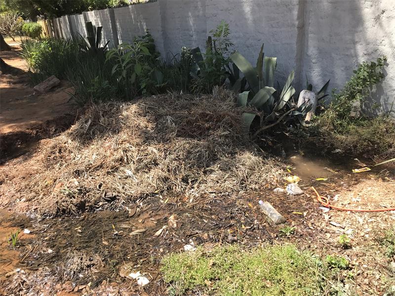 Water continues to run down the streets as Johannesburg Water has not attended the leaking pipe on Gordon and Mackay Avenue in Blairgowrie.