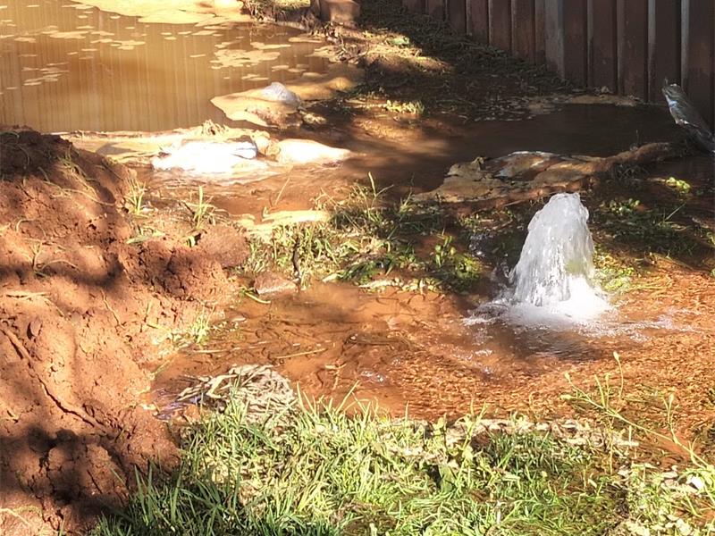 Residents of Geelhout Street in Sharonlea are frustrated by repeated water pipe bursts, saying Johannesburg Water’s ongoing repairs have failed to bring any lasting relief.