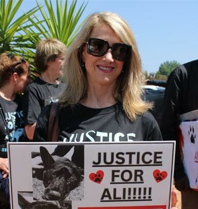 A growing court backlog has caused another delay in the Justice for Ali trial, leaving animal rights groups frustrated as they wait for justice.