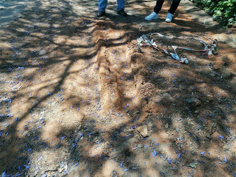 Blairgowrie roads have seen growing issues of unfished work from Johannesburg Water after repairs, leading to concerns about damage to cars.