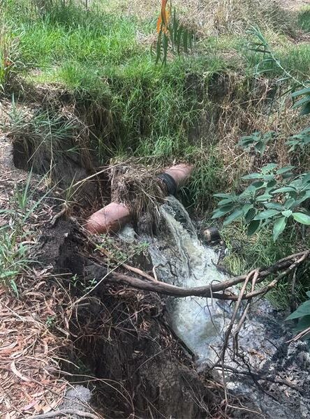 In their hunt for the source of a foul stench, the Community Heroes discovered a sewage leak inside the Pampoen Spruit, one that has been troubling residents for some time.