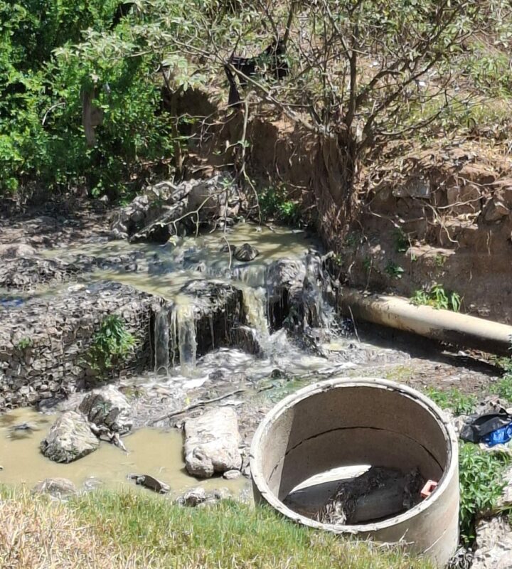 Community Heroes group members discovered a sewage leak inside the Pampoen Spruit, which has been troubling residents for some time.