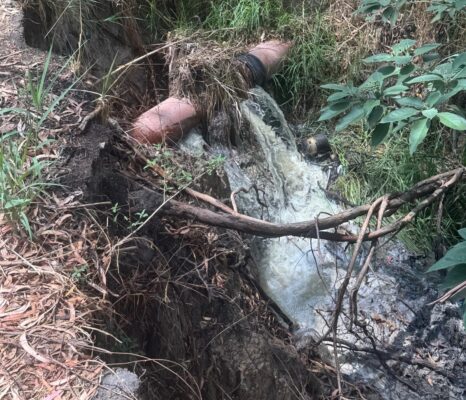 Residents find the root cause of the sewage issue in Pampoen Spruit. Photo: Supplied