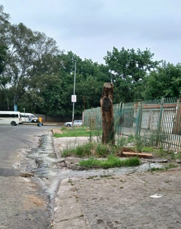 Ward 98 councillor Beverley Jacobs is taking the sewage issues in Windsor East up to the city manager and MMC.