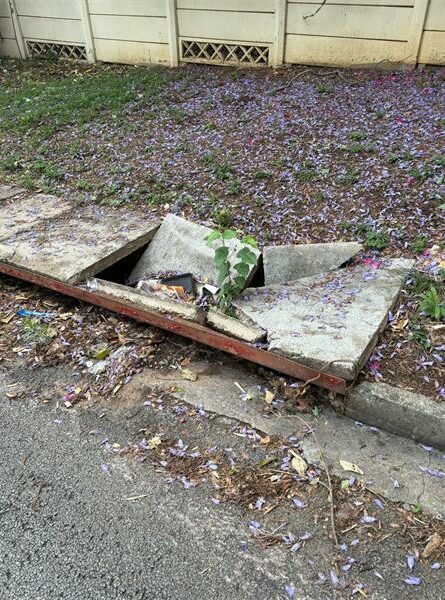 From potholes to litter, Ferndale’s Women Who Walk initiative turns casual weekend walks into opportunities for connection, collaboration, and creating a cleaner, safer suburb.