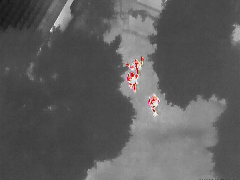 Beagle Watch officers detained two men after an early-morning alarm activation revealed a burglary in progress, with a drone pinpointing the suspects’ hiding places.