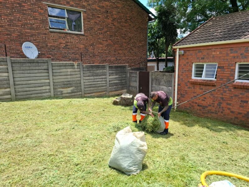 Ward 98 councillor Beverley Jacobs collaborated with the Beagle Watch environmental team to tackle growth at the Windsor East swimming pool.