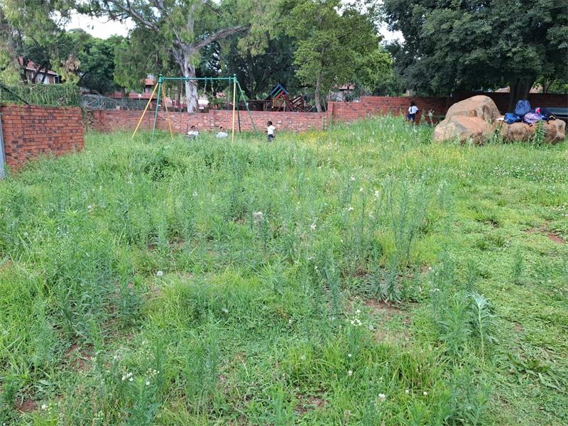 Windsor East swimming pool gets a new life under councillor’s initiative