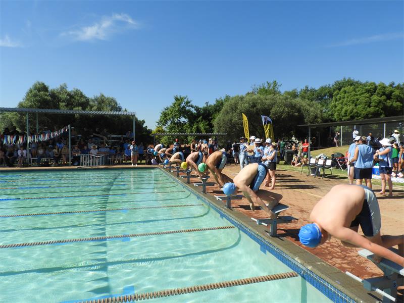 It was an action-packed day celebrating talent, teamwork and victory at the Rand Park Primary annual interhouse swimming gala.