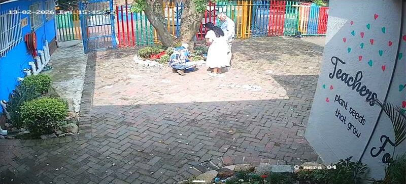 A marsh terrapin brought unexpected drama to a Ferndale nursery school last week, triggering a WhatsApp alert, a salmonella warning, and a brief reptile custody dispute before being returned to its owner.