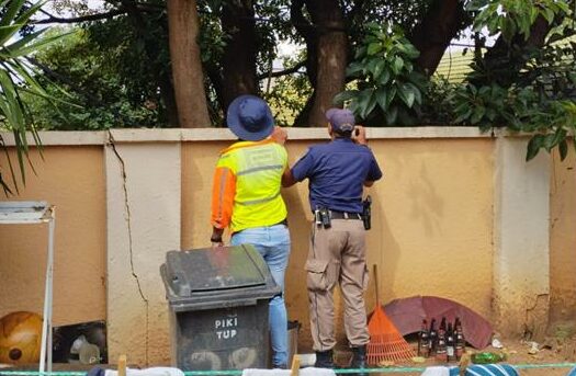 Broken streetlights, illegal parking, and a potentially hijacked property were among the issues confronted when a multi-agency team conducted a sweeping blitz through Ferndale.