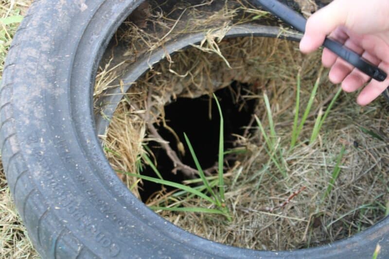 JRA has confirmed that it has investigated the sinkholes around Denise Circle, discovering more on nearby streets.