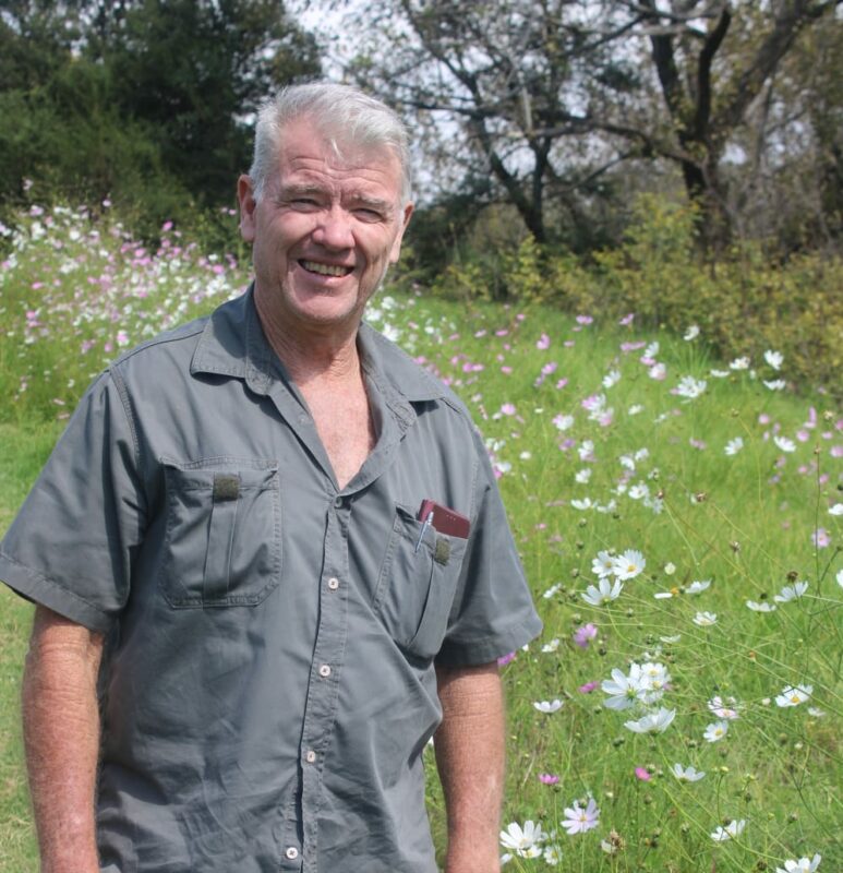 The remarkable seasonal flowers are already starting to fade, making residents more eager to enjoy the brief burst of colour.
