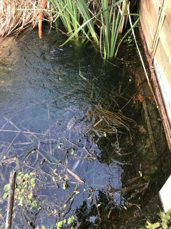 Despite fixing the leak in recent years, Joburg Water is struggling to locate it as it burst again.