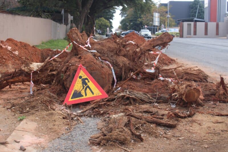 Residents are asked to remain cautious when driving on Mackay Avenue as a big tree stump remains on the road.