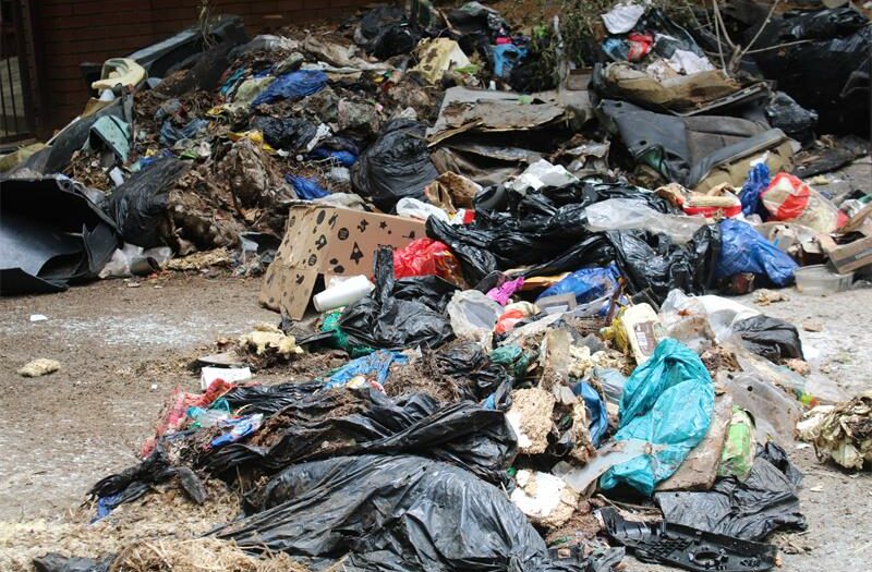Residents are urged to put their bins out on their usual collection days, despite delays.