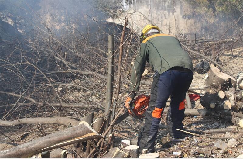 Trees are cut on the green belt on the Cr Swart Drive bridge. Photo: Mthulisi Lwazi Khuboni