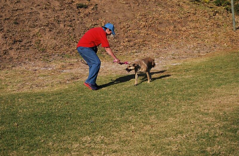 Behind every bark, tail wag and nervous look, there is a story. Helen McKane helps owners uncover what their dogs are really trying to say.