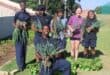 Curro Aurora learners harvested the seven-week vegetable garden and donated food to Delta Park School. Photo: Mthulisi Lwazi Khuboni