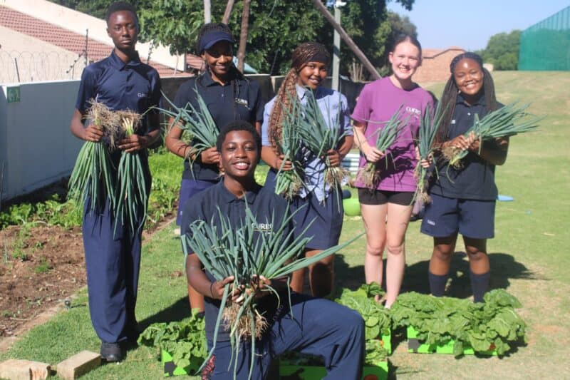 Curro Aurora learners harvested the seven-week vegetable garden and donated food to Delta Park School. Photo: Mthulisi Lwazi Khuboni