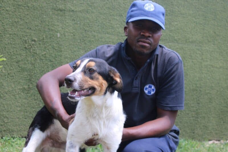 18-month Benji and Randburg SPCA’s Sne Shezi. Photo: Braden-Lee Mokoena