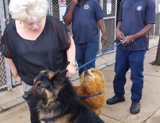 Me. Lizette Sadie was baie bly dat haar honde ongedeerd daarvan afgekom het. Agter haar staan DBV werknemers, mnre. James Sibanyoni en Rudi Siloane.