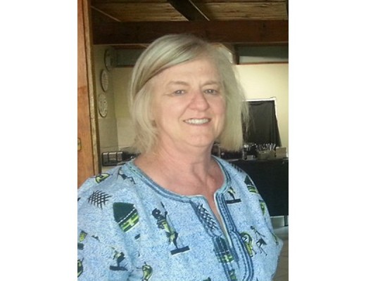 Die ongeluk het reg voor prof. Christina Landman en haar seun gebeur. FOTO: Facebook.