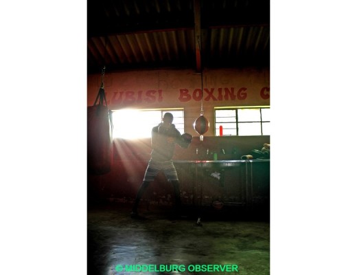 box2 (LL ZN)