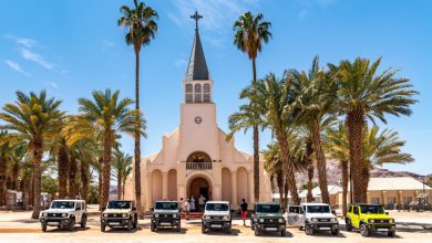 Suzuki Safari Day 1 LRG-29