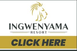 INGWENYAME28NAT-01 INGWENYAME28NAT-01