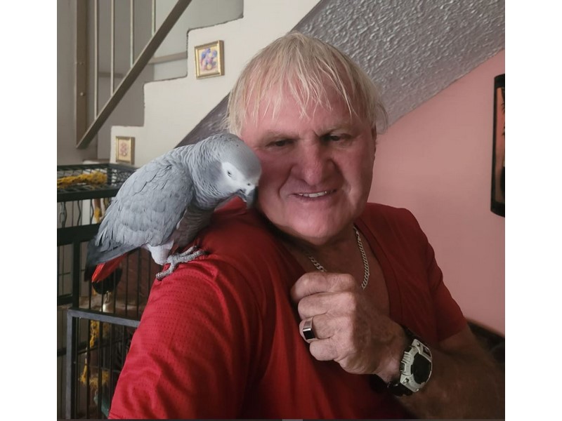 Pikkwyn Polly ‘ons Pikkewyn’ is gekry! | Middelburg Observer
