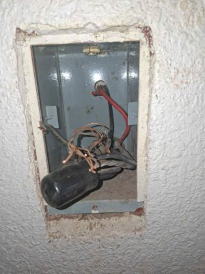 Middelburg huiseienaar, dennesig, sipresstraat, Belgie, europa, inbraak, crime