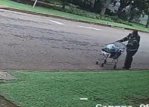 A person in a dark jacket pushes a shopping cart containing items down a street beside a grassy area.