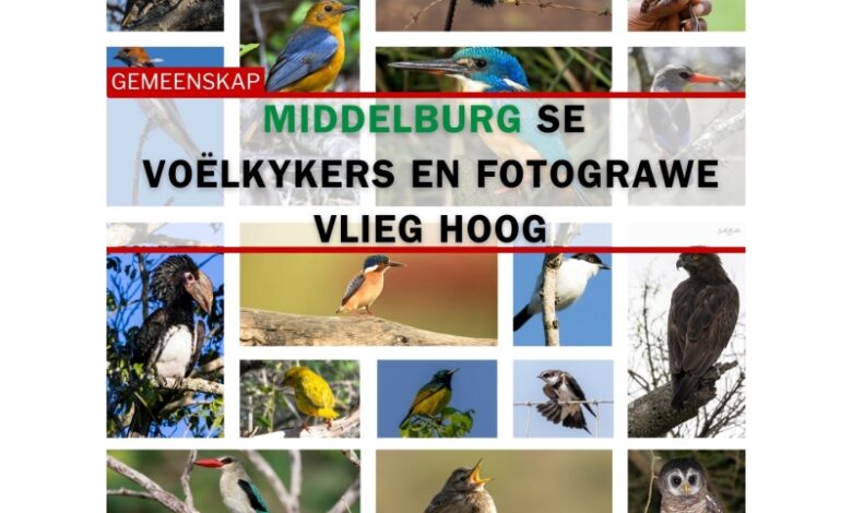 Birdlasser, birding, fotograaf, voelkykers, mpumalanga, middelburg, kranspoort, Suid-Afrika, Rare birds, Loskop, natuur