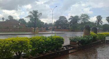 Rain falls on a quiet, tree-lined street bordered by lush, green bushes and brick walls under a cloudy sky, creating a serene, tranquil mood.