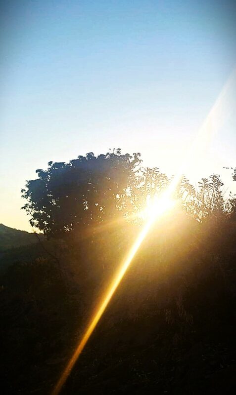 sonsak, de voetpadkloof