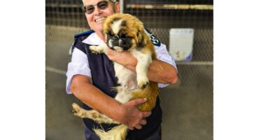 SPCA, dog, cat, donation, middelburg, shelter