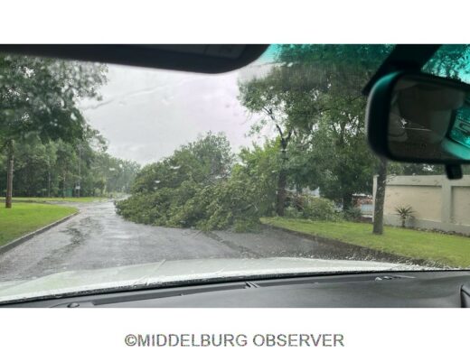 Die gekantelde boom.