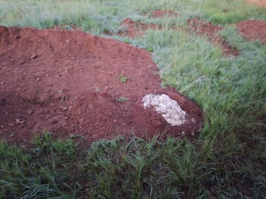 More waste, seemingly dried from exposure. 