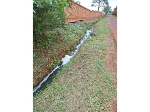 Frothing water from the abattoir.