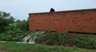 Dirty water flowing from an abattoir