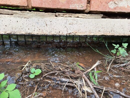 Animal waste containing water. 