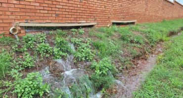 Municipality, Medina Abattoir, Middelburg, Rondebosch