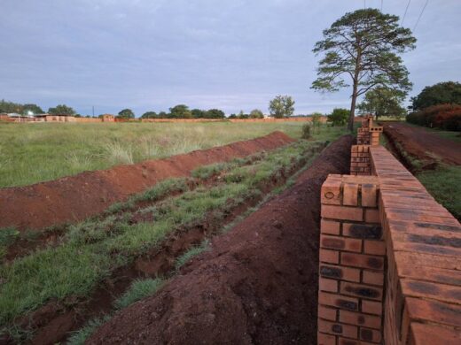 Some of the trenches. 