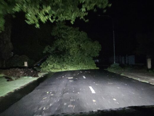 Nighttime scene of a road blocked by a large fallen tree, illuminated by headlights. The atmosphere is tense and hazardous, indicating storm impact.