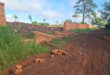 A red dirt road runs alongside a collapsed brick wall, with scattered bricks and green grass. Tall trees and a blue sky provide a calm backdrop.