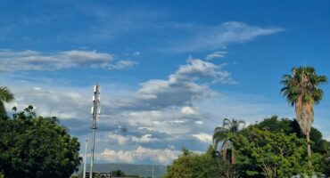 A serene street scene with lush green trees and a tall palm against a bright blue sky, scattered with fluffy white clouds. A metal pole stands prominently.