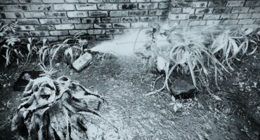 Middelbur, watermeter, diewe, kanonkop