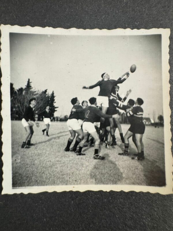 Springbok, springbokke, suid afrika, rugby